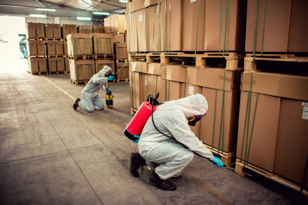 Best Flea Control Services  in Lima, OH