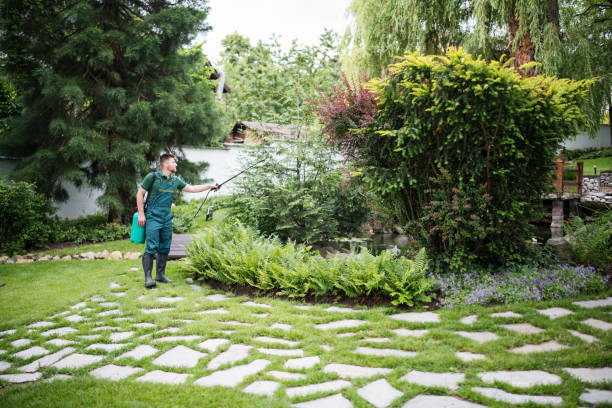 Wasp Removal Services in Lima, OH