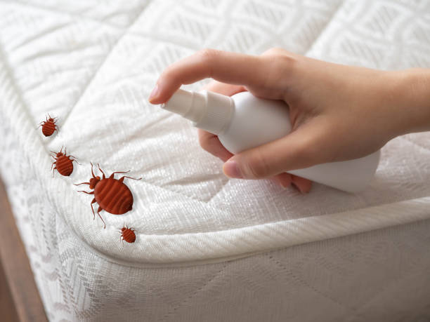 Best Insect Control  in Lima, OH