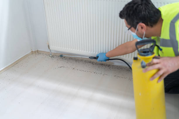 Best Exterminator Services  in Lima, OH