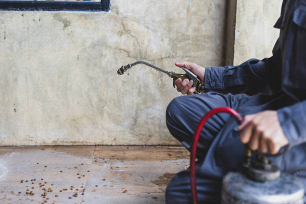 Best Best Pest Control Companies  in Lima, OH
